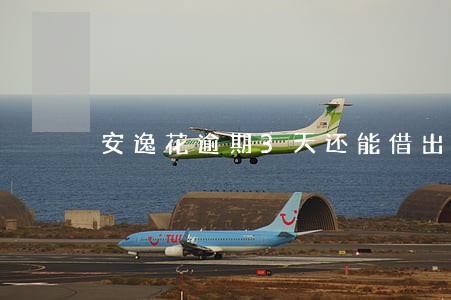 安逸花逾期3天还能借出来吗 安逸花逾期3天还能借出来吗