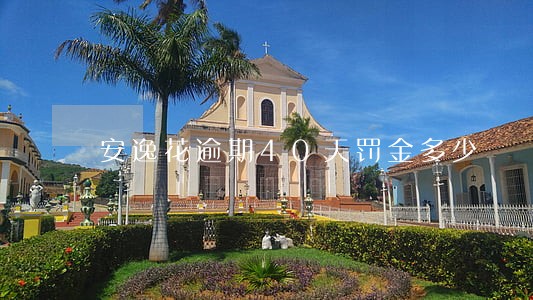 安逸花逾期40天罚金多少 安逸花逾期40天罚金多少