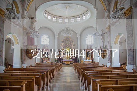 安逸花逾期4个月了 安逸花逾期4个月了