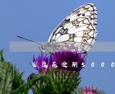 安逸花逾期5000利息会有多少 安逸花逾期5000利息会有多少