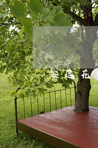 安逸花逾期57天会有事吗 安逸花逾期57天会有事吗