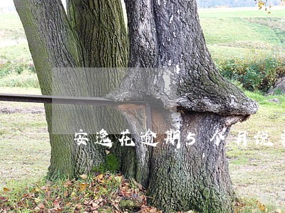 安逸花逾期5个月说要告我 安逸花逾期5个月说要告我