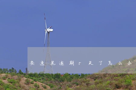 安逸花逾期5天了怎么办 安逸花逾期5天了怎么办