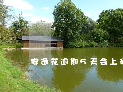 安逸花逾期5天会上征信吗
