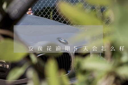 安逸花逾期5天会怎么样 安逸花逾期5天会怎么样
