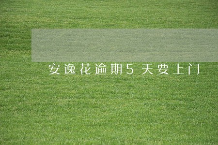 安逸花逾期5天要上门 安逸花逾期5天要上门