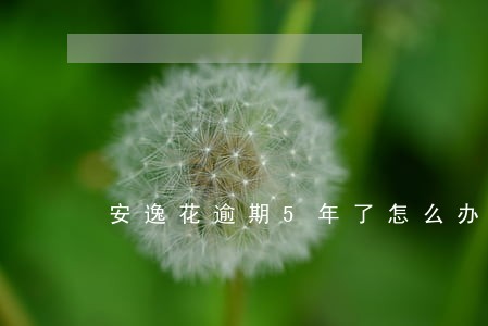 安逸花逾期5年了怎么办 安逸花逾期5年了怎么办