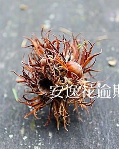 安逸花逾期6天怕吗 安逸花逾期6天怕吗