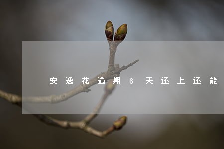 安逸花逾期6天还上还能用吗 安逸花逾期6天还上还能用吗
