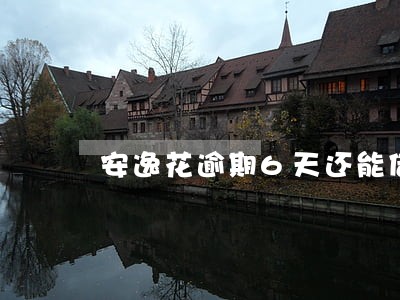 安逸花逾期6天还能借嘛 安逸花逾期6天还能借嘛