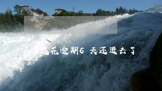 安逸花逾期6天还进去了 安逸花逾期6天还进去了