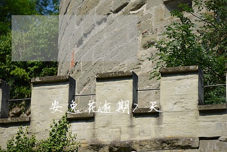 安逸花逾期7天 安逸花逾期7天