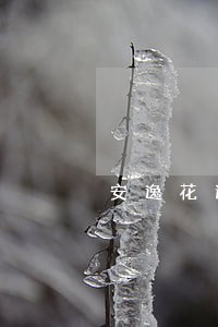 安逸花逾期7天上征信吗 安逸花逾期7天上征信吗