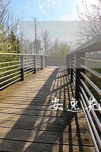 安逸花逾期7天会有什么影响 安逸花逾期7天会有什么影响