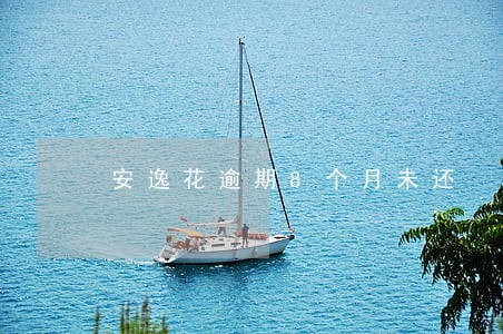 安逸花逾期8个月未还 安逸花逾期8个月未还