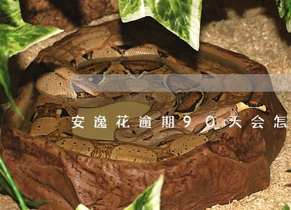 安逸花逾期90天会怎么样