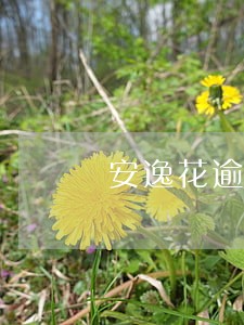 安逸花逾期90天怎么办 安逸花逾期90天怎么办