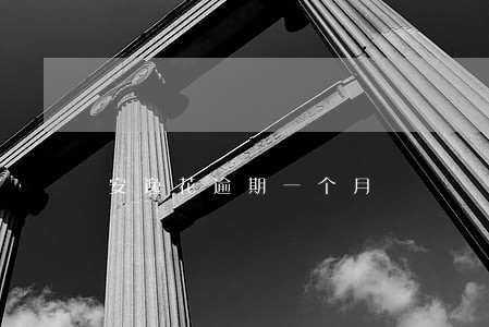 安逸花逾期一个月 安逸花逾期一个月