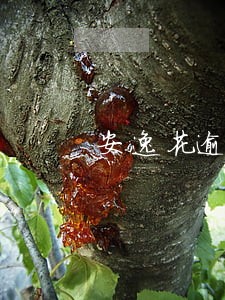 安逸花逾期一天25块逾期费 安逸花逾期一天25块逾期费