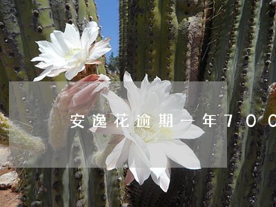 安逸花逾期一年7000块 安逸花逾期一年7000块