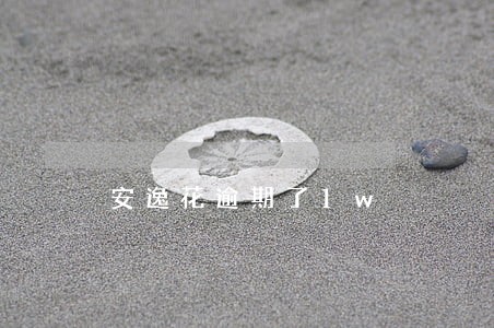 安逸花逾期了1w 安逸花逾期了1w