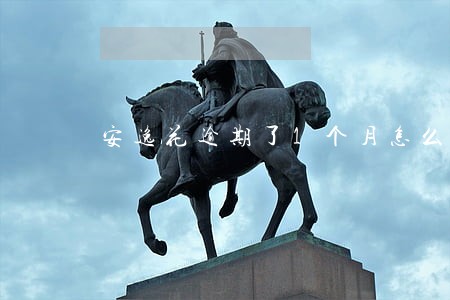 安逸花逾期了1个月怎么办 安逸花逾期了1个月怎么办