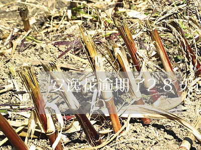 安逸花逾期了28天说还不进去了 安逸花逾期了28天说还不进去了