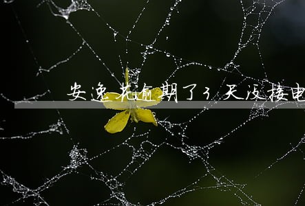 安逸花逾期了3天没接电话 安逸花逾期了3天没接电话
