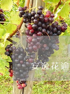 安逸花逾期了会怎么样 安逸花逾期了会怎么样