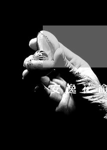 安逸花逾期了还能开通网商贷吗 安逸花逾期了还能开通网商贷吗