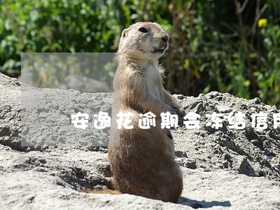 安逸花逾期会冻结信用卡吗