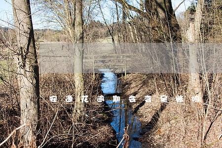 安逸花逾期会变呆账吗 安逸花逾期会变呆账吗
