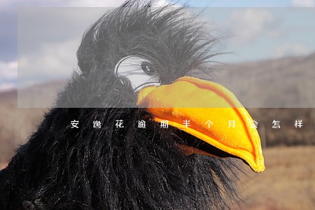 安逸花逾期半个月会怎样 安逸花逾期半个月会怎样