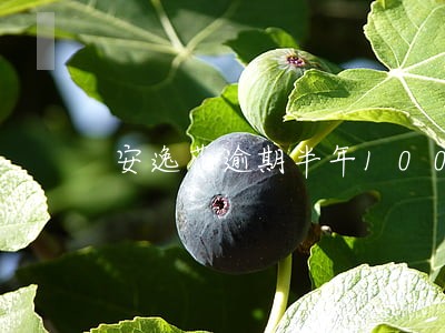 安逸花逾期半年1000 安逸花逾期半年1000