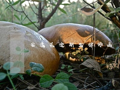 安逸花逾期发律师函 安逸花逾期发律师函