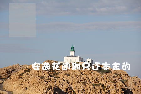 安逸花逾期只还本金的 安逸花逾期只还本金的