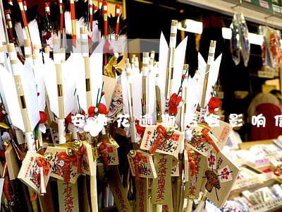 安逸花逾期后会影响信用卡吗 安逸花逾期后会影响信用卡吗