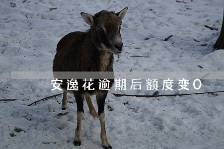 安逸花逾期后额度变0 安逸花逾期后额度变0