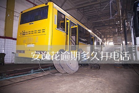 安逸花逾期多久打电话 安逸花逾期多久打电话