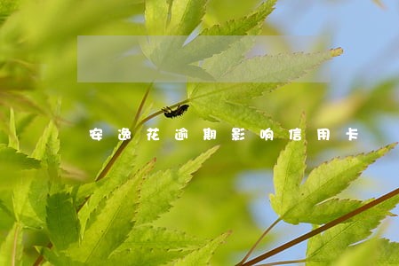 安逸花逾期影响信用卡 安逸花逾期影响信用卡