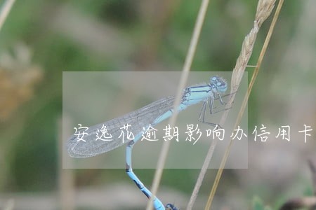 安逸花逾期影响办信用卡吗 安逸花逾期影响办信用卡吗