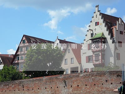 安逸花逾期怎么办 安逸花逾期怎么办