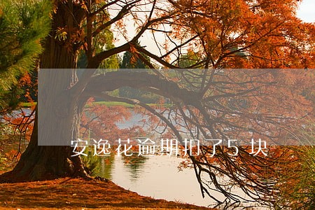 安逸花逾期扣了5块 安逸花逾期扣了5块
