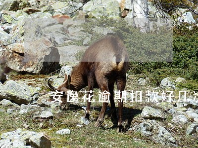 安逸花逾期扣款好几次25元 安逸花逾期扣款好几次25元