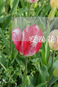 安逸花逾期爆通讯录吗 安逸花逾期爆通讯录吗