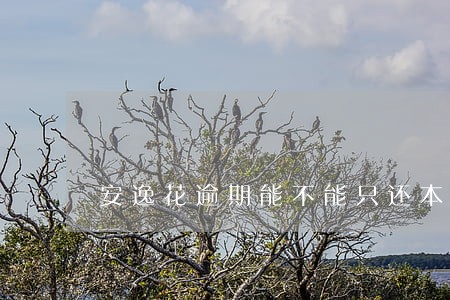 安逸花逾期能不能只还本金 安逸花逾期能不能只还本金