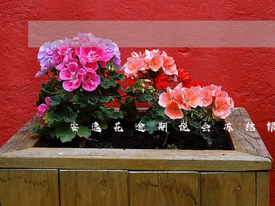 安逸花逾期说会冻结银行卡吗 安逸花逾期说会冻结银行卡吗