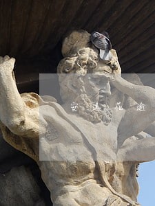 安逸花逾期过能办信用卡吗