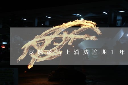 安逸花马上消费逾期1年 安逸花马上消费逾期1年
