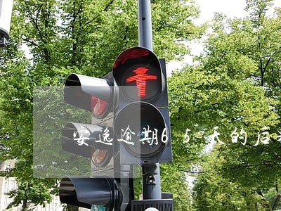 安逸逾期65天的后果 安逸逾期65天的后果